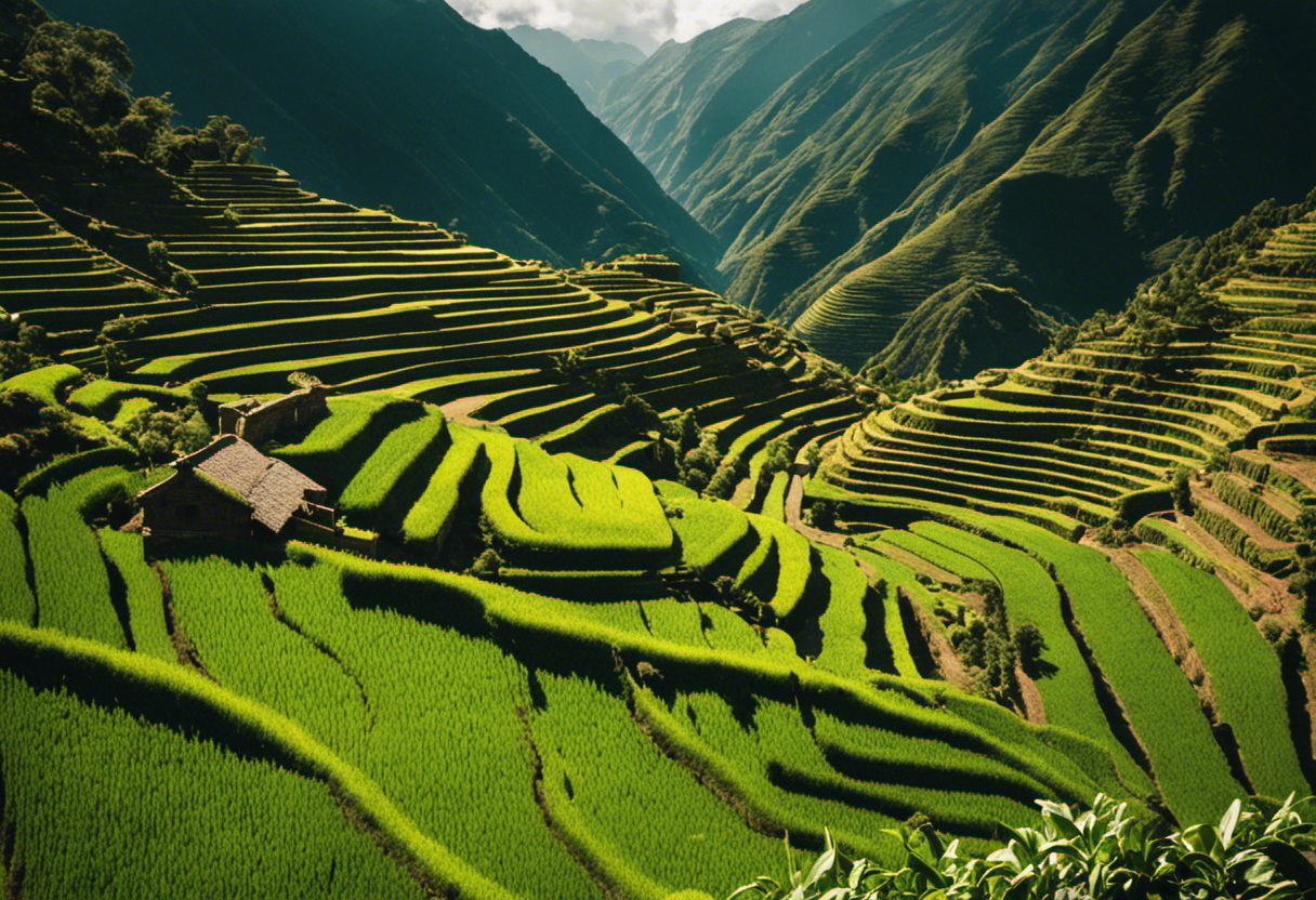 An image depicting a lush terraced landscape with farmers tending to their crops, surrounded by towering mountains