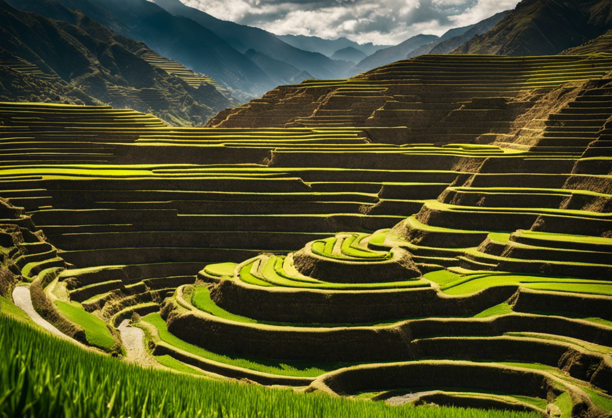 An image capturing the essence of Inca calendar's impact on irrigation and water management