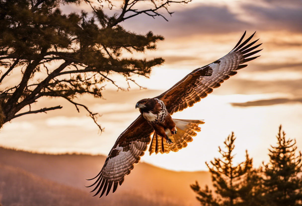 An image showcasing the rich symbolism of Cherokee Animal Clans: a majestic red-tailed hawk soaring across a vibrant sunset, surrounded by the gentle embrace of a wise and serene white-tailed deer