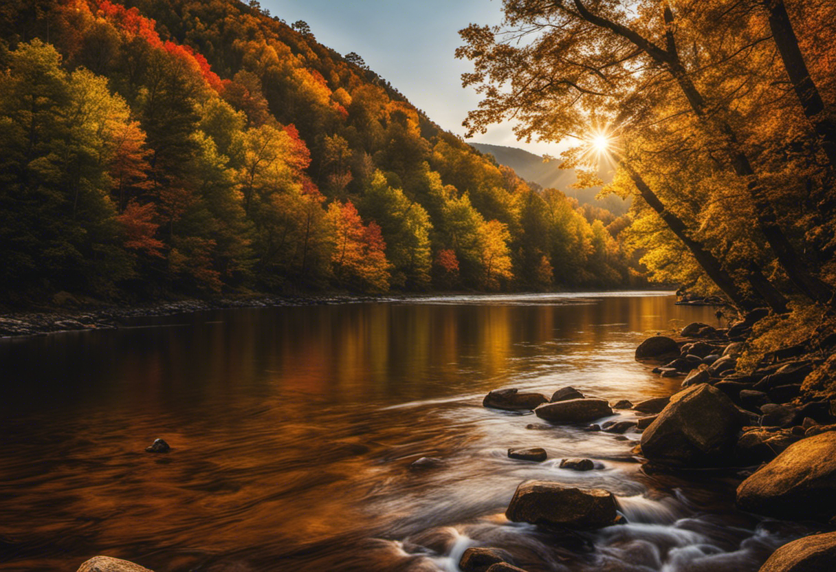 An image capturing the vivid transition of seasons in the Cherokee Calendar System